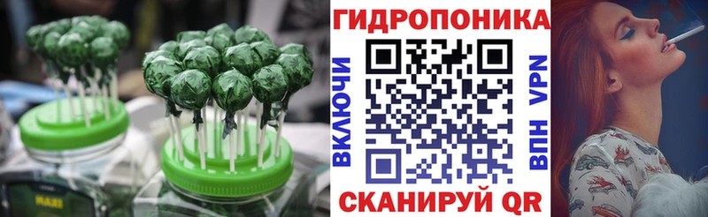 где найти наркотики  Пионерский  omg как войти  Еда ТГК марихуана 