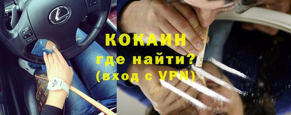 амф Гусь-Хрустальный