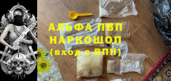 амф Гусь-Хрустальный