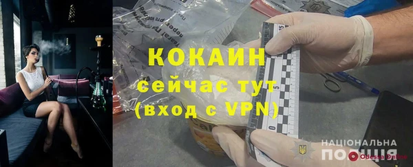 амф Гусь-Хрустальный