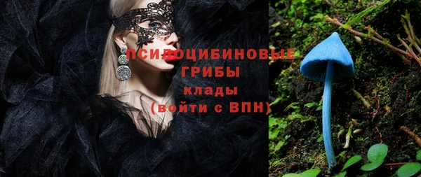 амф Гусь-Хрустальный