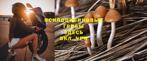 амф Гусь-Хрустальный