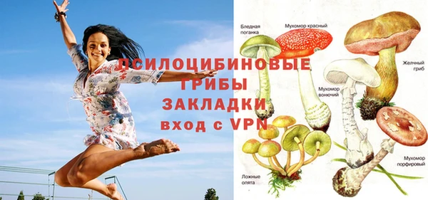 эйфоретик Гусев
