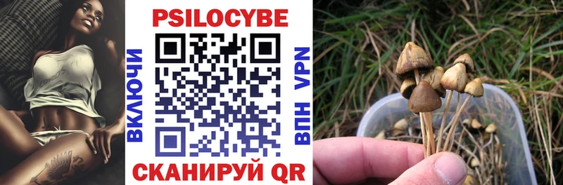 omg сайт  Пионерский  shop состав  Псилоцибиновые грибы Magic Shrooms 